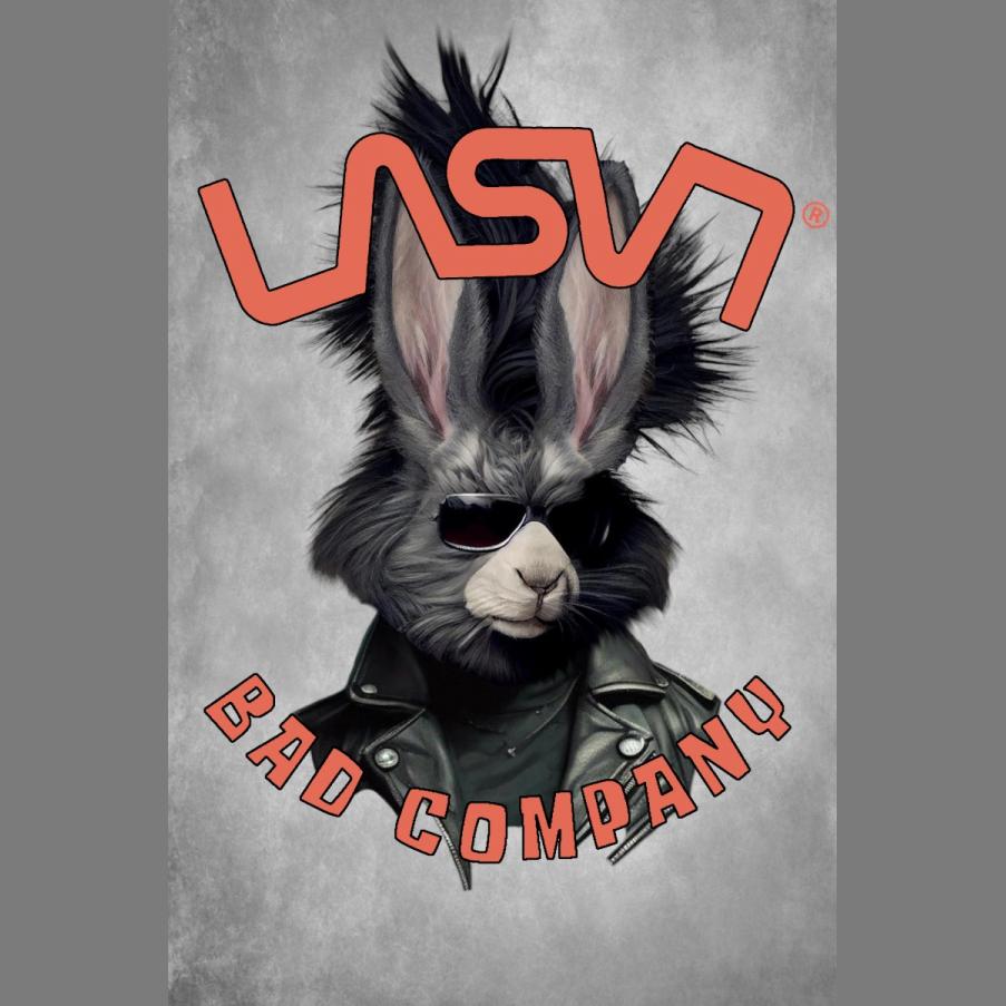 Camiseta de hombre LaSal Bad Rabbit Kaki - Imagen 3