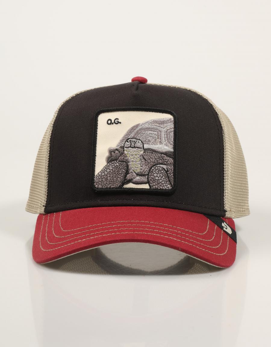 Gorra trucker tricolor Tortoise azul y roja de Goorin Bros